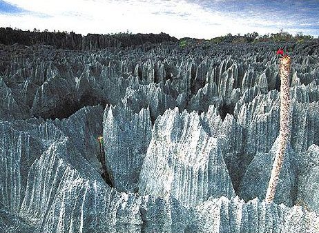 Tsingy de Madagascar déclaré Patrimoine Mondial par l’Unesco – Massifs calcaires